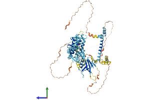 Protein Structure (PS) image for Connector Enhancer of Kinase Suppressor of Ras 1 (CNKSR1) (AA 1-720) protein (His tag) (ABIN7546623)