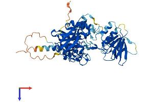 OSGIN2 Protein (AA 1-505) (His tag)