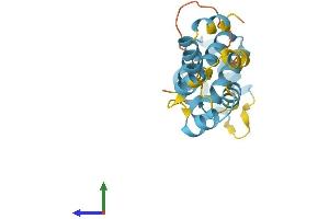Protein Structure (PS) image for PYD and CARD Domain Containing (PYCARD) (AA 1-195) protein (His tag) (ABIN7552364)