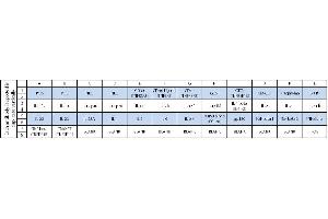 Image no. 1 for Human Th1/Th2/Th17 Array C1 (ABIN625615) (Human Th1/Th2/Th17 Array C1)