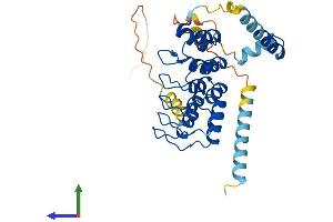 AlphaFold protein structure predicition of Mouse Recombinant Ankrd2 Protein, UniprotID Q9WV06