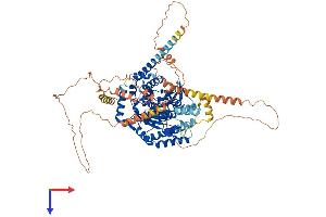 PNPLA8 Protein (AA 1-782) (His tag)