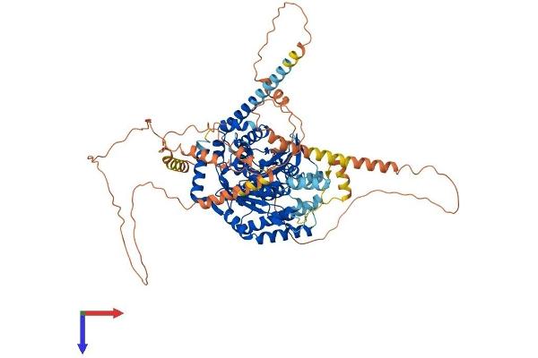 PNPLA8 Protein (AA 1-782) (His tag)