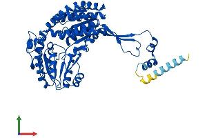 AlphaFold protein structure predicition of Human Recombinant ALDH3A2 Protein, UniprotID P51648