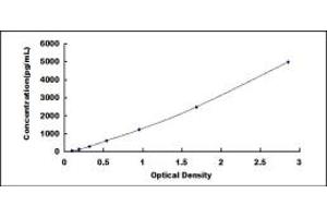 ELISA image for Interleukin 1 Receptor Antagonist (IL1RN) ELISA Kit (ABIN6956956)