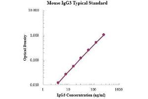 IgG3 ELISA Kit