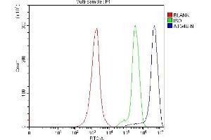 Flow Cytometry analysis of Jurkat cells using anti-ATG4B antibody (ABIN7599346).