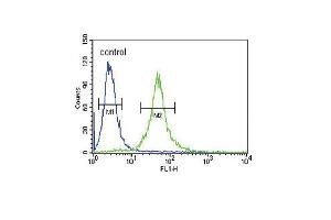 Flow Cytometry (FACS) image for anti-Interleukin 1 Receptor Antagonist (IL1RN) (AA 100-129) antibody (ABIN390396)