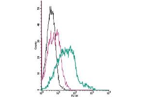 Cell surface detection of Thromboxane A2 Receptor by direct flow cytometry in live intact human  megakaryoblast leukemia cells: + Rabbit IgG isotype control-FITC. (TBXA2R Antikörper  (Extracellular) (FITC))