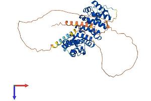 ARMCX1 Protein (AA 1-453) (His tag)