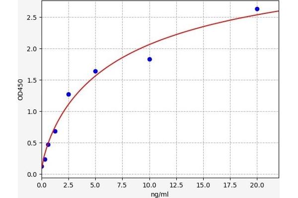 FSHR ELISA Kit