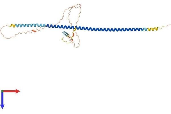 LUZP4 Protein (AA 1-313) (His tag)