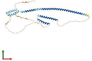Protein Structure (PS) image for Rab Interacting Lysosomal Protein (RILP) (AA 1-369) protein (His tag) (ABIN7557488)