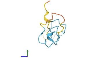 Protein Structure (PS) image for Metallothionein 3 (MT3) (AA 1-68) protein (Fc Tag) (ABIN7549548)