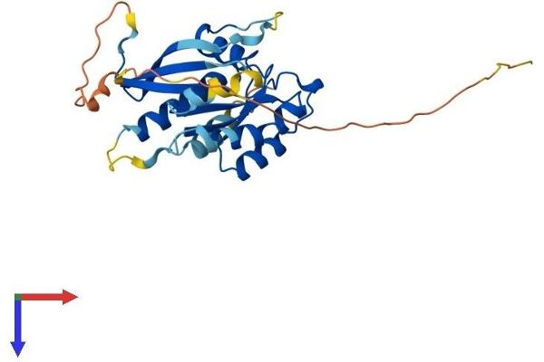 RAB26 Protein (AA 1-260) (His tag)