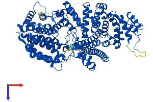 NCBP1 Protein (AA 1-790) (His tag)
