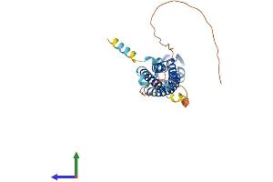 Protein Structure (PS) image for Synaptophysin (SYP) (AA 1-313) protein (His tag) (ABIN7544072)