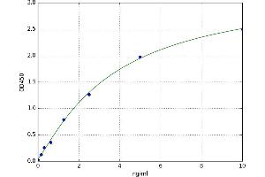 A typical standard curve (UBE2I ELISA Kit)