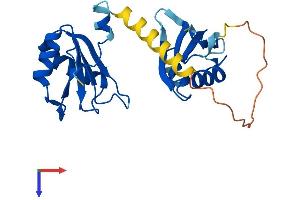 SNRPB2 Protein (AA 1-225) (His tag)