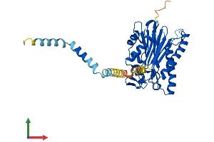 Protein Structure (PS) image for Protein Phosphatase, Mg2+/Mn2+ Dependent, 1L (PPM1L) (AA 1-360) protein (His tag) (ABIN7558653)