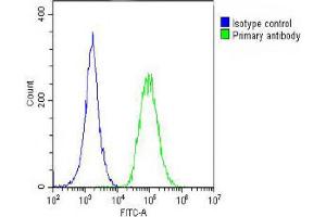 Overlay histogram showing A549 cells stained with Antibody (green line). (ROR1 Antikörper)