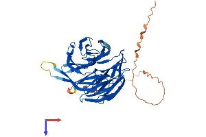PAK1IP1 Protein (AA 1-382) (His tag)
