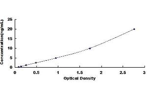 Typical standard curve (APP ELISA Kit)