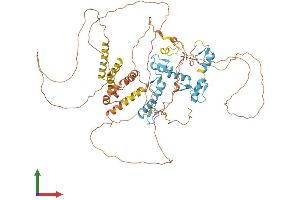 Protein Structure (PS) image for B-Cell CLL/lymphoma 6 (BCL6) (AA 1-706) protein (His tag) (ABIN7552699)