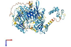 Advillin Protein (AVIL) (AA 1-819) (His tag)
