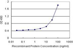 Sandwich ELISA detection sensitivity ranging from 3 ng/mL to 100 ng/mL.