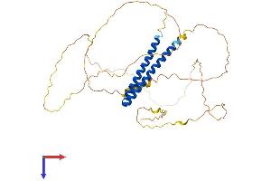 PPHLN1 Protein (AA 1-381) (His tag)