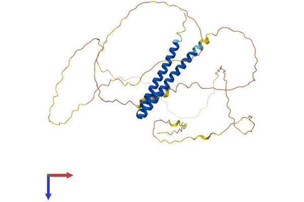 PPHLN1 Protein (AA 1-381) (His tag)