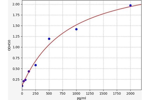 SMAD4 ELISA Kit