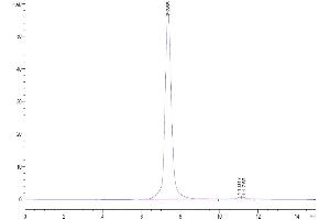 Size-exclusion chromatography-High Pressure Liquid Chromatography (SEC-HPLC) image for Microfibrillar-Associated Protein 4 (MFAP4) (AA 60-293) protein (His tag) (ABIN7275229)