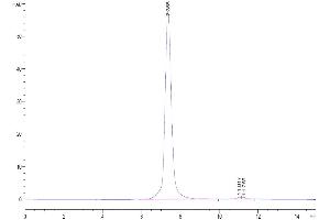 The purity of Cynomolgus MFAP4 is greater than 95 % as determined by SEC-HPLC. (MFAP4 Protein (AA 60-293) (His tag))