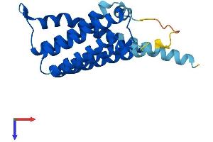 CDIPT Protein (AA 1-213) (His tag)