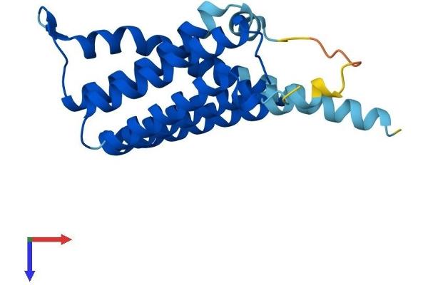 CDIPT Protein (AA 1-213) (His tag)