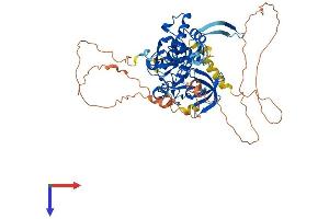 PHF19 Protein (AA 1-580) (His tag)