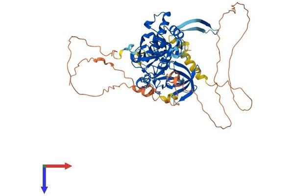 PHF19 Protein (AA 1-580) (His tag)