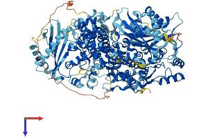 OAS3 Protein (AA 1-1087) (His tag)