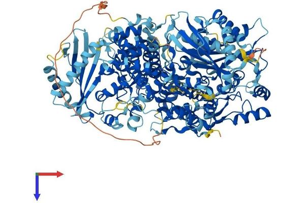 OAS3 Protein (AA 1-1087) (His tag)