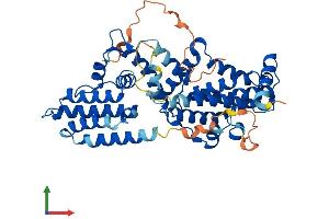 AlphaFold protein structure predicition of Mouse Recombinant Rasgef1c Protein, UniprotID Q9D300 (RASGEF1C Protein (AA 1-466) (His tag))