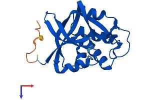 GGCT Protein (AA 1-188) (His tag)