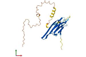 Protein Structure (PS) image for Crystallin, alpha A (CRYAA) (AA 1-196) protein (His tag) (ABIN7563001)