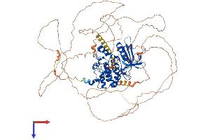 AAK1 Protein (AA 1-961) (His tag)
