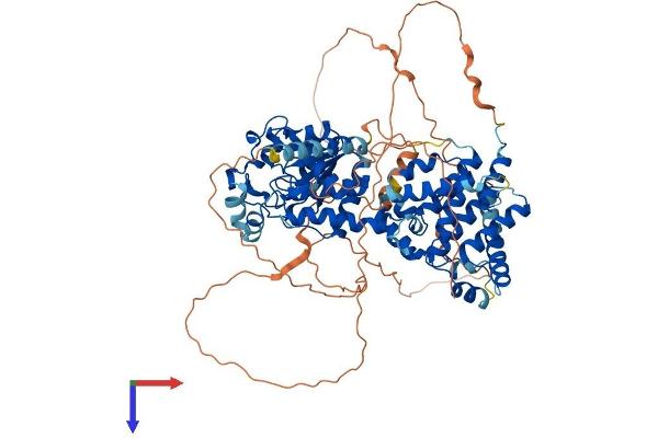 PTPDC1 Protein (AA 1-747) (His tag)