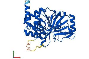 Protein Structure (PS) image for Protein Phosphatase 2, Catalytic Subunit, alpha Isozyme (PPP2CA) (AA 1-309) protein (His tag) (ABIN7556655)