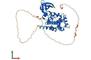 Protein Structure (PS) image for MOK Protein Kinase (MOK) (AA 1-420) protein (His tag) (ABIN7556335)