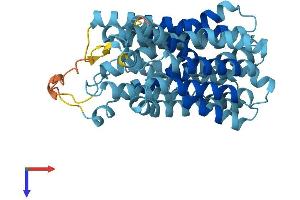 SLC37A4 Protein (AA 1-429) (His tag)