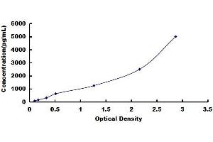 Typical standard curve